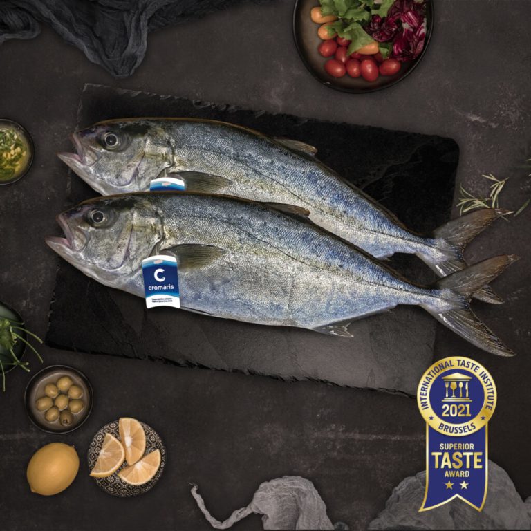 Cromaris formirao novu, tročlanu upravu