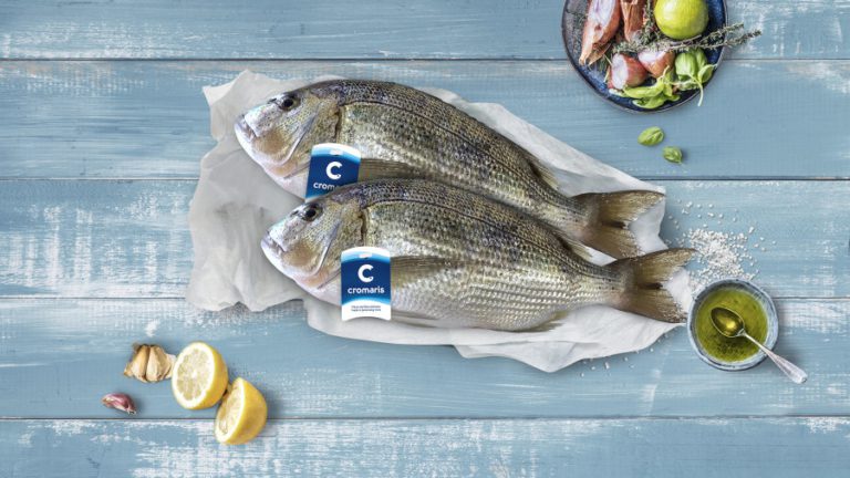 Cromaris nastavlja s rastom proizvodnje i izvoza