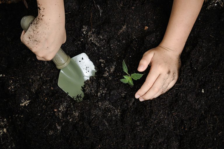 Hrvatske škole dobile 2.000 sadnica za pripremu zdravih obroka