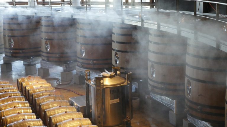 U proizvodnji vina 254 poduzetnika ostvarila 530 milijuna kuna prihoda