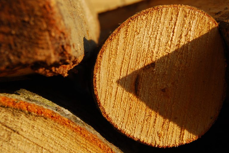 Konferencija „Drvno-prerađivačka industrija RH u okviru Europskog zelenog plana – energetski izazovi”