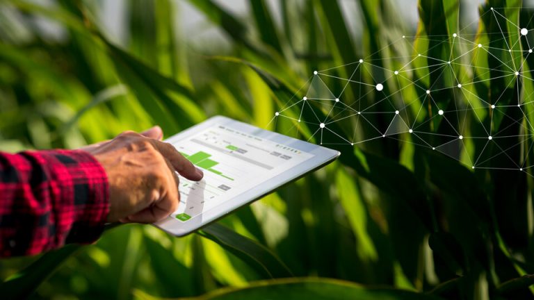 Feelsgood ulaže 5,6 milijuna kuna u AGRIVI kako bi ostvarili pozitivan utjecaj na milijardu ljudi