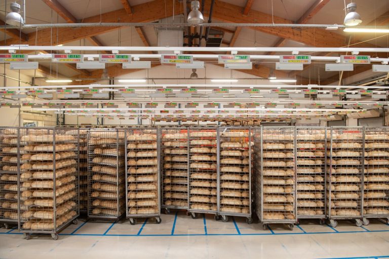 Podravka uspješno privela kraju Zaokret Žita