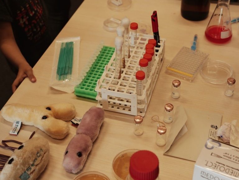 Više od 13 000 djece i odraslih posjetilo je Treći MUZZA tjedan znanosti