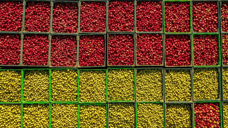 Arivera Fruit – novo ime i vizualni identitet kompanije Enna Fruit