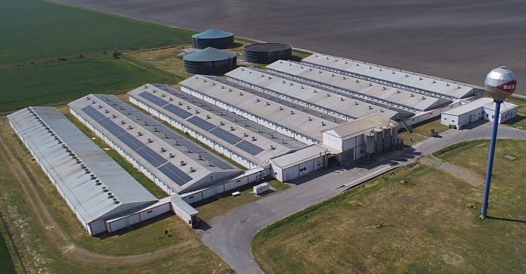 Repopulacija farme Sokolovac
